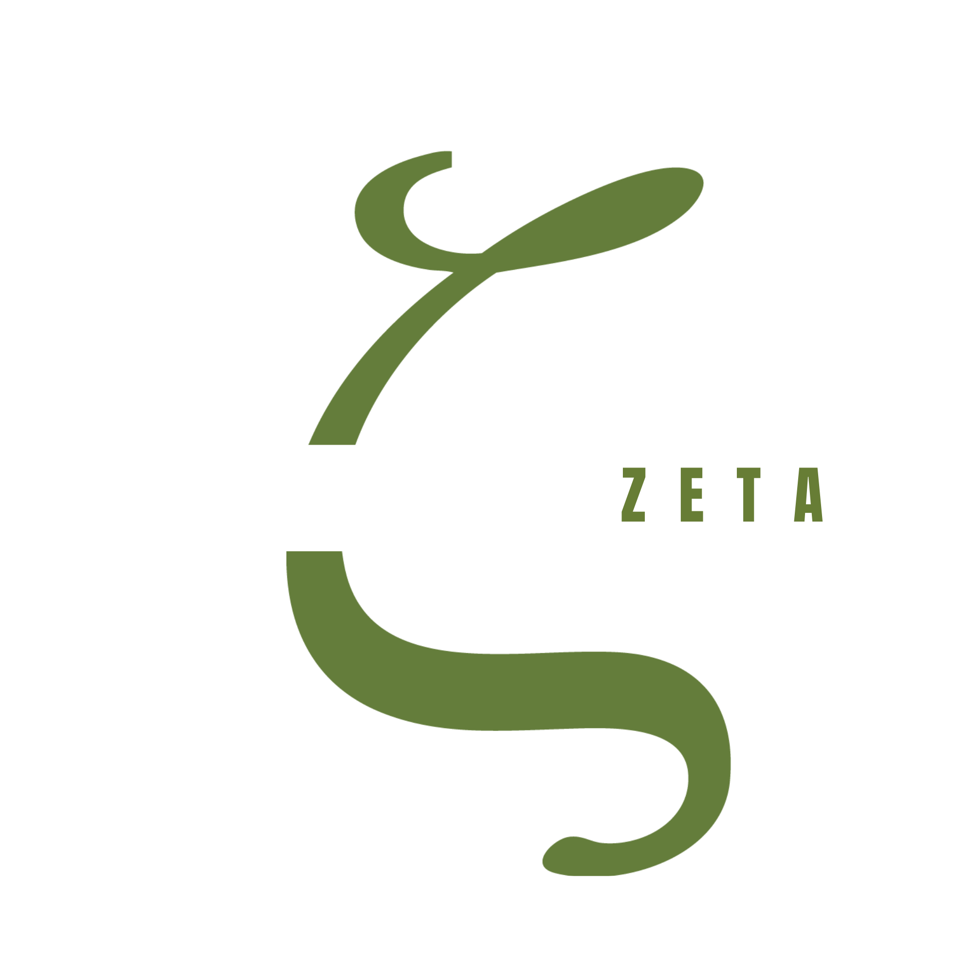 Project Zeta | Elite Engineering Acceleration — projectzeta.ai